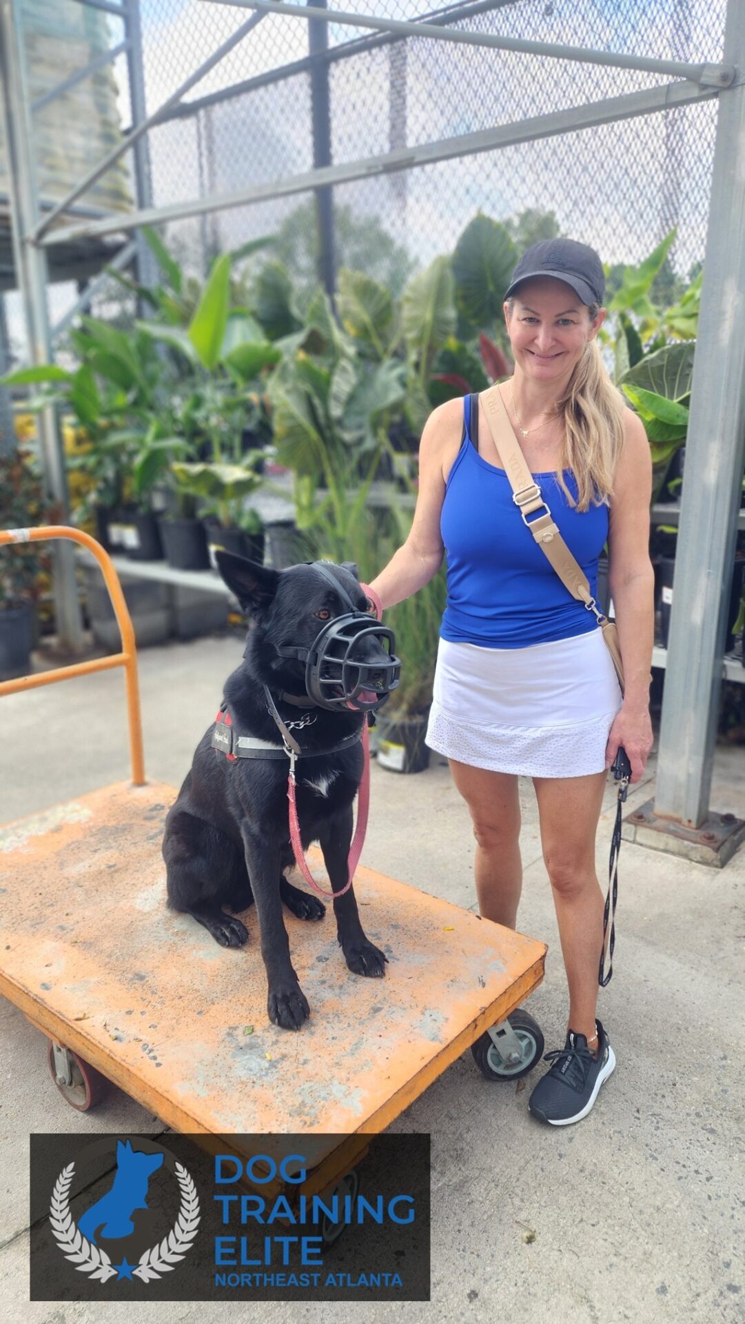 Copy of Rocco Final 3